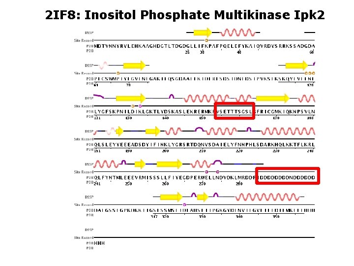 2 IF 8: Inositol Phosphate Multikinase Ipk 2 