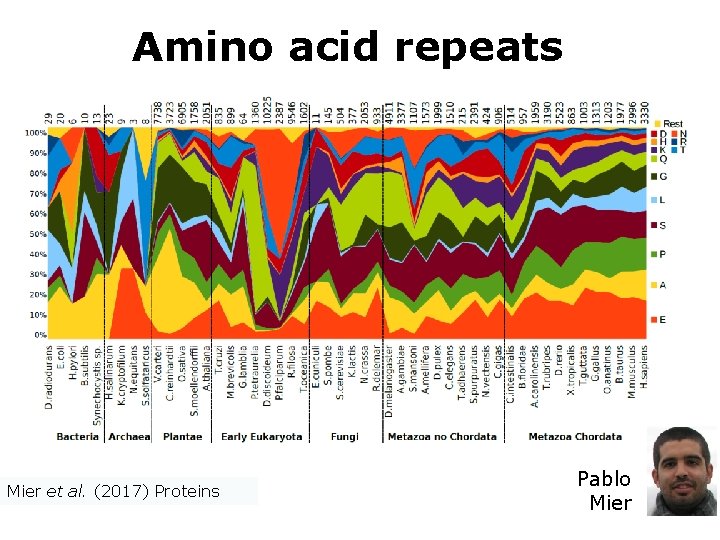 Amino acid repeats Mier et al. (2017) Proteins Pablo Mier 