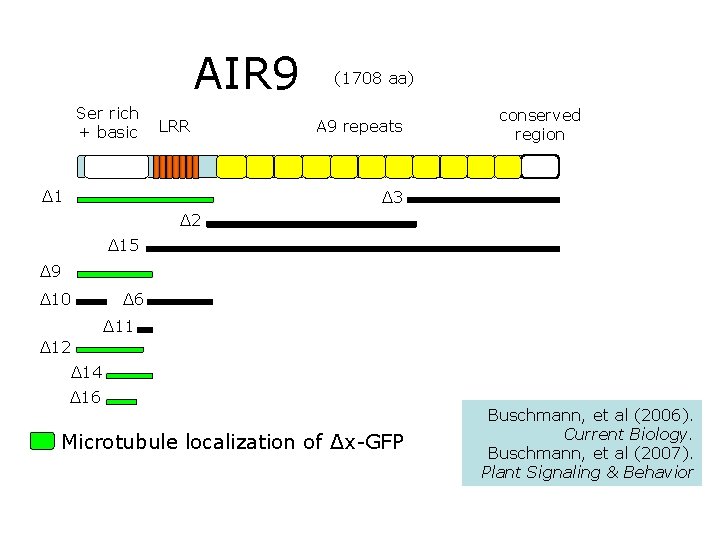 AIR 9 Ser rich + basic LRR Δ 1 (1708 aa) A 9 repeats