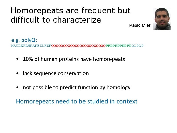 Homorepeats are frequent but difficult to characterize Pablo Mier e. g. poly. Q: MATLEKLMKAFESLKSFQQQQQQQQQQQQPPPPPPQLPQP