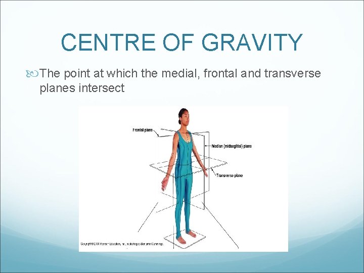 CENTRE OF GRAVITY The point at which the medial, frontal and transverse planes intersect