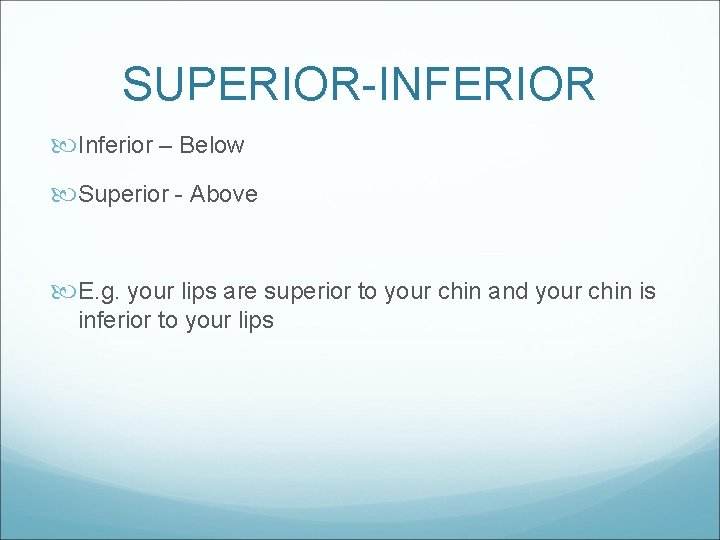 SUPERIOR-INFERIOR Inferior – Below Superior - Above E. g. your lips are superior to