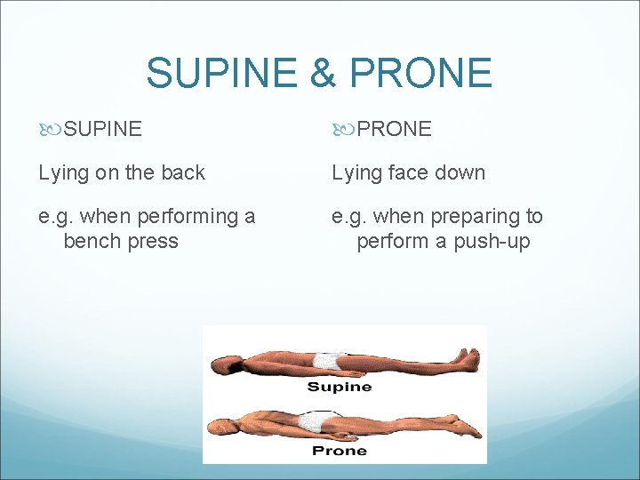 SUPINE & PRONE SUPINE PRONE Lying on the back Lying face down e. g.