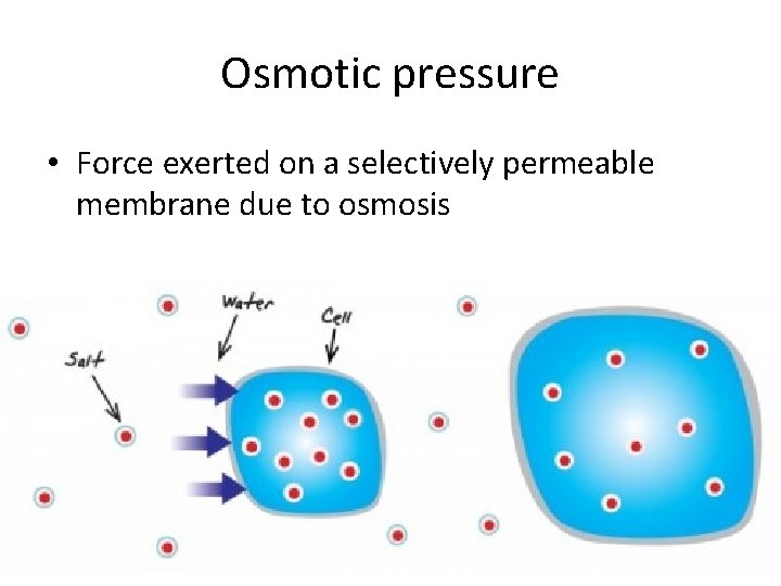 Osmotic pressure • Force exerted on a selectively permeable membrane due to osmosis 