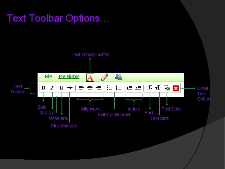 Text Toolbar Options… Text Toolbar button Text Toolbar Close Text Options Bold Italicize Underline