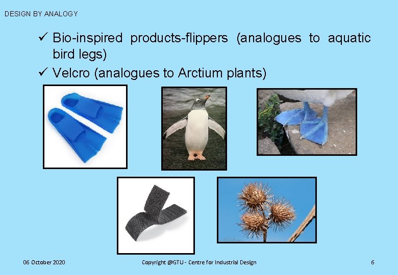 DESIGN BY ANALOGY ü Bio-inspired products-flippers (analogues to aquatic bird legs) ü Velcro (analogues