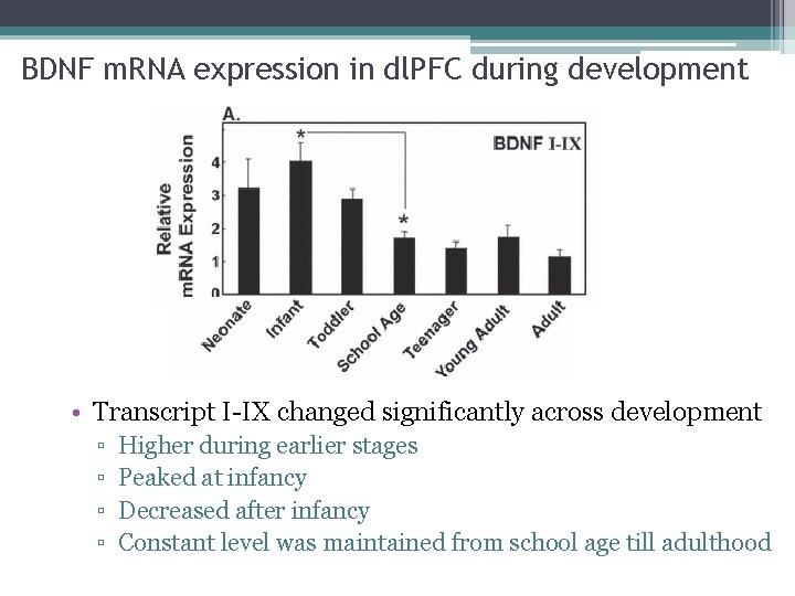 BDNF m. RNA expression in dl. PFC during development • Transcript I-IX changed significantly