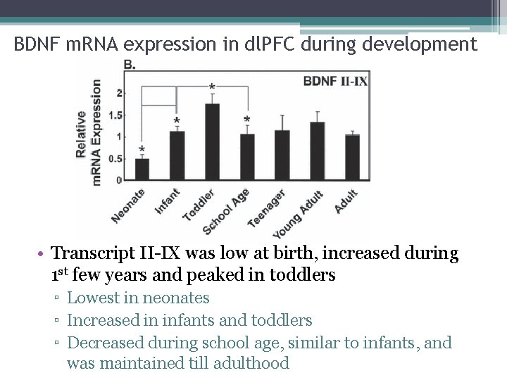 BDNF m. RNA expression in dl. PFC during development • Transcript II-IX was low