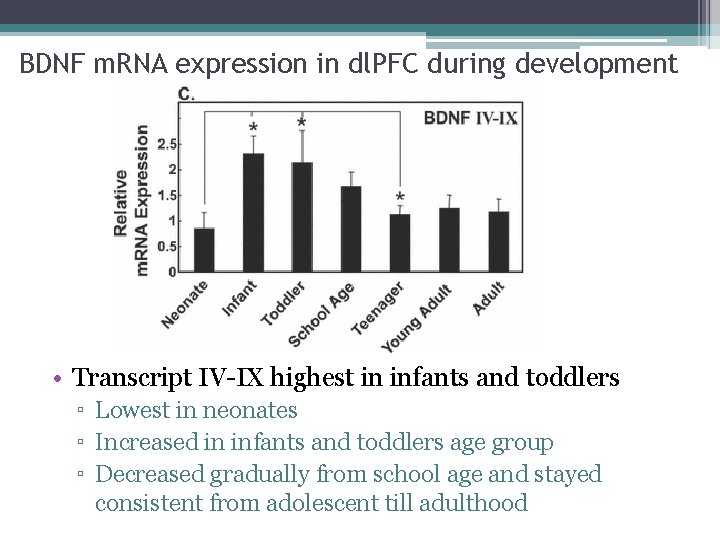 BDNF m. RNA expression in dl. PFC during development • Transcript IV-IX highest in