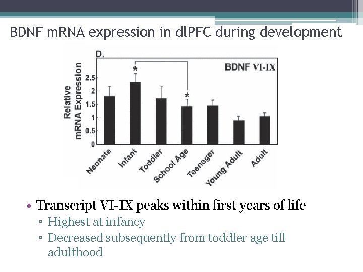 BDNF m. RNA expression in dl. PFC during development • Transcript VI-IX peaks within