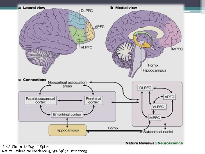 Jon S. Simons & Hugo J. Spiers Nature Reviews Neuroscience 4, 637 -648 (August