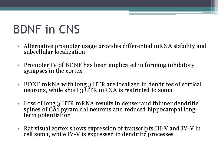 BDNF in CNS • Alternative promoter usage provides differential m. RNA stability and subcellular