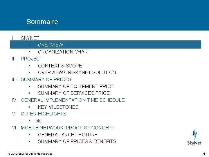 Sommaire I. III. IV. V. VI. SKYNET • OVERVIEW • ORGANIZATION CHART PROJECT •