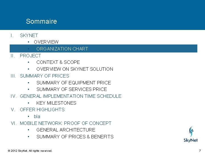 Sommaire I. III. IV. V. VI. SKYNET • OVERVIEW • ORGANIZATION CHART PROJECT •