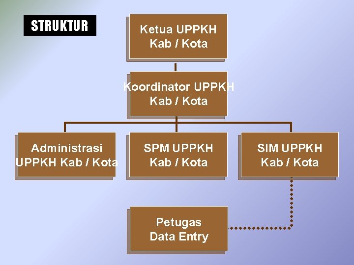 STRUKTUR Ketua UPPKH Kab / Kota Koordinator UPPKH Kab / Kota Administrasi UPPKH Kab