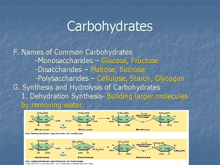 Carbohydrates F. Names of Common Carbohydrates -Monosaccharides – Glucose, Fructose -Disaccharides – Maltose, Sucrose