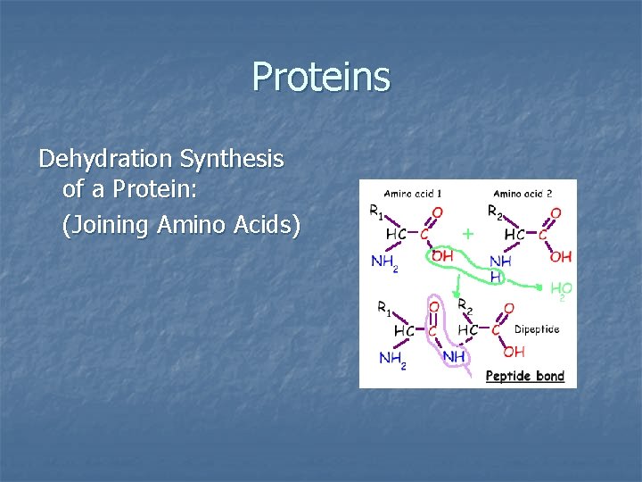 Biochemistry The Chemistry of Living Things Unit II