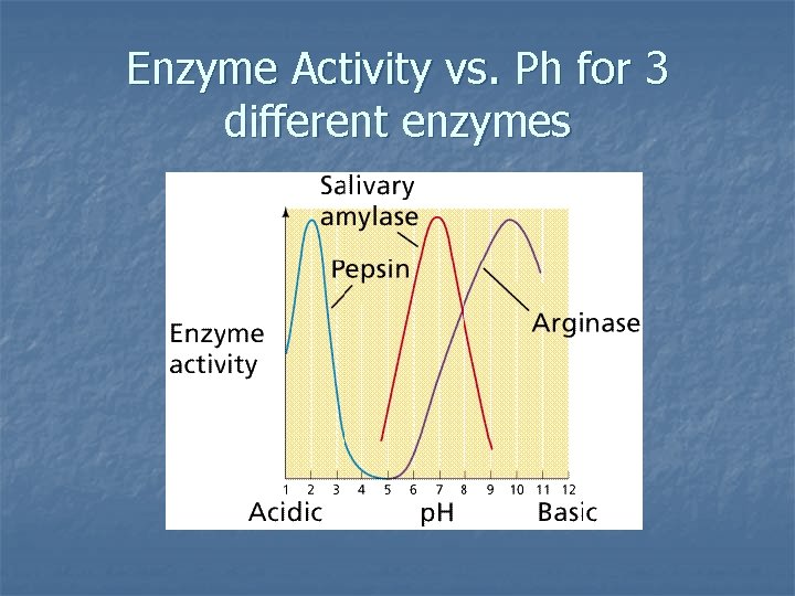 Enzyme Activity vs. Ph for 3 different enzymes 
