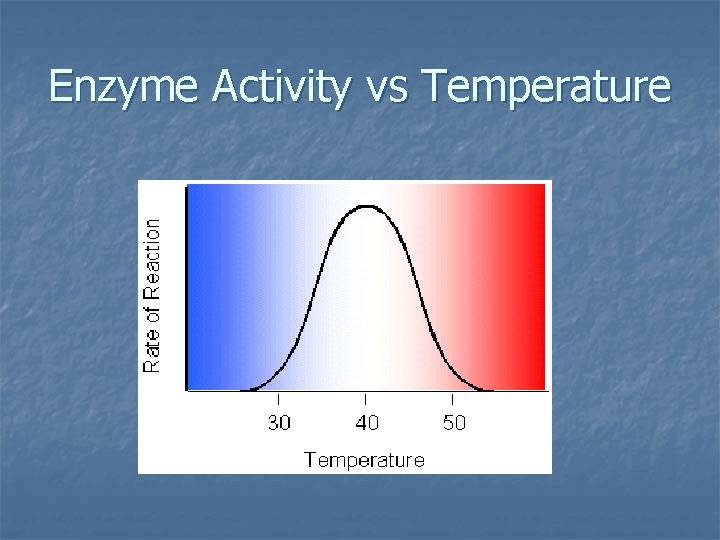 Enzyme Activity vs Temperature 