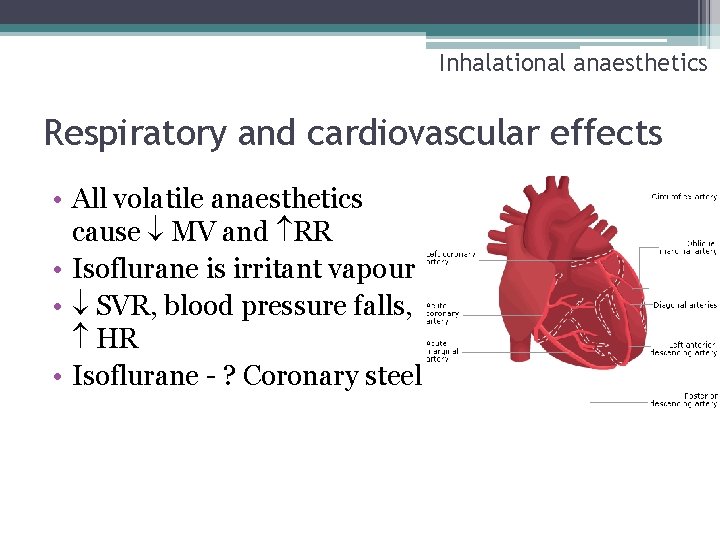 Inhalational anaesthetics Respiratory and cardiovascular effects • All volatile anaesthetics cause MV and RR