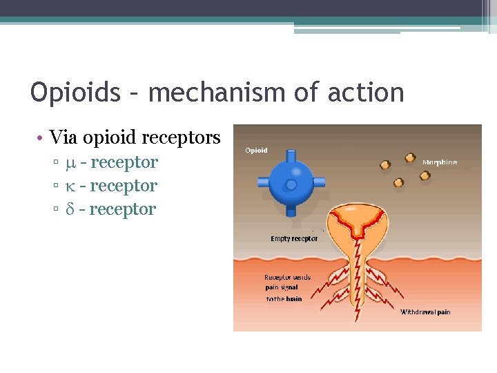 Opioids – mechanism of action • Via opioid receptors ▫ - receptor 