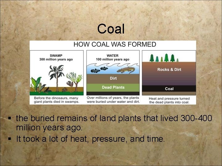 Coal § the buried remains of land plants that lived 300 -400 million years