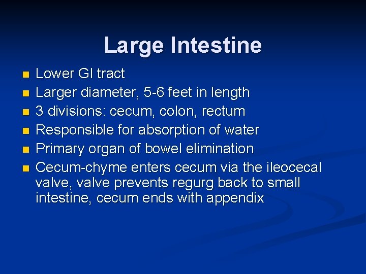 Large Intestine n n n Lower GI tract Larger diameter, 5 -6 feet in