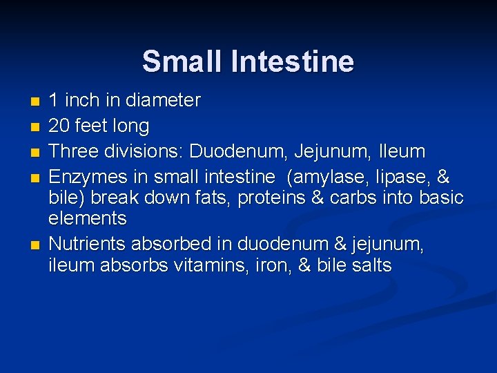 Small Intestine n n n 1 inch in diameter 20 feet long Three divisions: