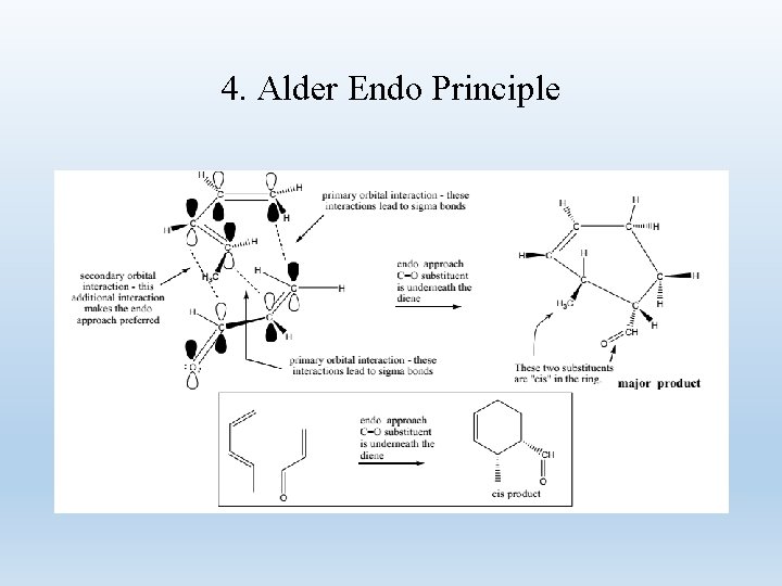 4. Alder Endo Principle 