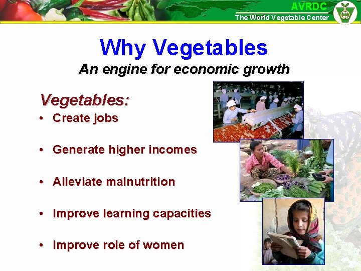 AVRDC The World Vegetable Center Why Vegetables An engine for economic growth Vegetables: •