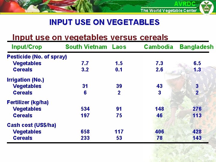 AVRDC The World Vegetable Center INPUT USE ON VEGETABLES Input use on vegetables versus