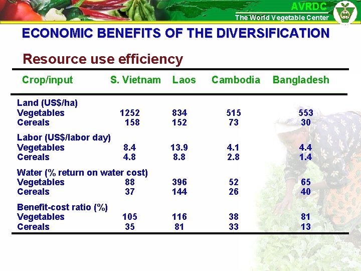 AVRDC The World Vegetable Center ECONOMIC BENEFITS OF THE DIVERSIFICATION Resource use efficiency Crop/input