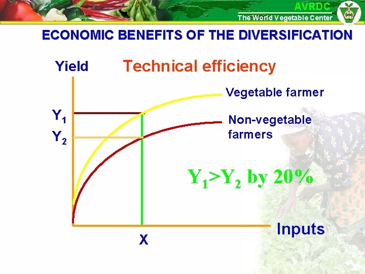 AVRDC The World Vegetable Center ECONOMIC BENEFITS OF THE DIVERSIFICATION Yield Technical efficiency Vegetable