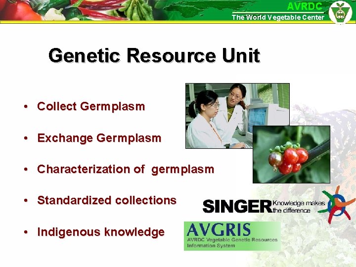 AVRDC The World Vegetable Center Genetic Resource Unit • Collect Germplasm • Exchange Germplasm