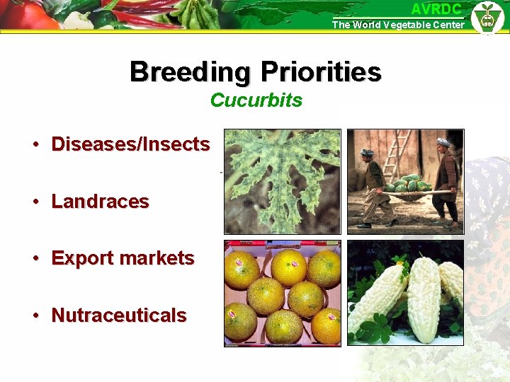 AVRDC The World Vegetable Center Breeding Priorities Cucurbits • Diseases/Insects • Landraces • Export