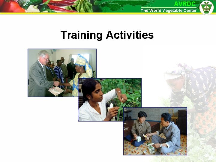 AVRDC The World Vegetable Center Training Activities 