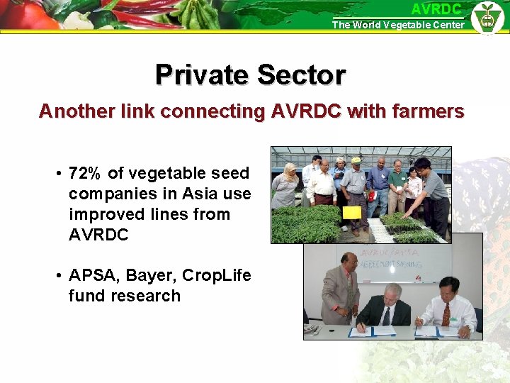 AVRDC The World Vegetable Center Private Sector Another link connecting AVRDC with farmers •