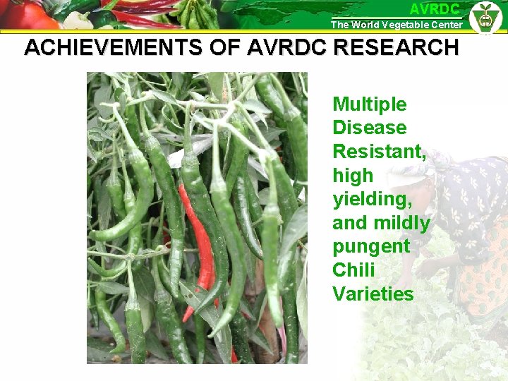 AVRDC The World Vegetable Center ACHIEVEMENTS OF AVRDC RESEARCH Multiple Disease Resistant, high yielding,