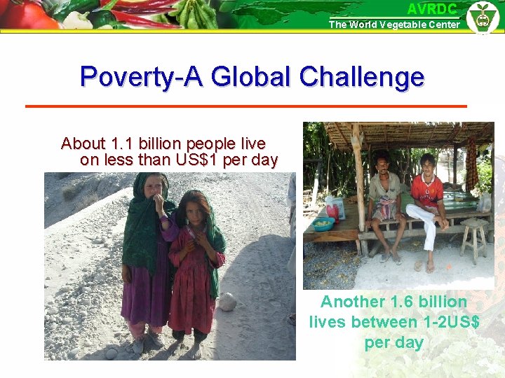 AVRDC The World Vegetable Center Poverty-A Global Challenge About 1. 1 billion people live