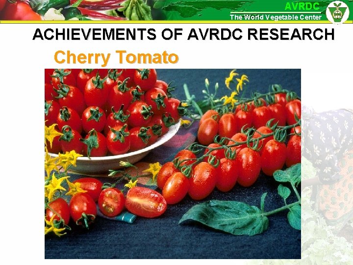 AVRDC The World Vegetable Center ACHIEVEMENTS OF AVRDC RESEARCH Cherry Tomato 