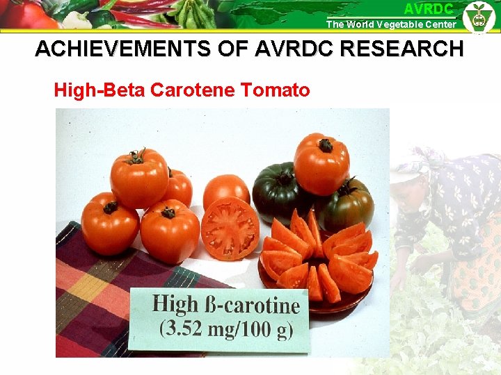 AVRDC The World Vegetable Center ACHIEVEMENTS OF AVRDC RESEARCH High-Beta Carotene Tomato 