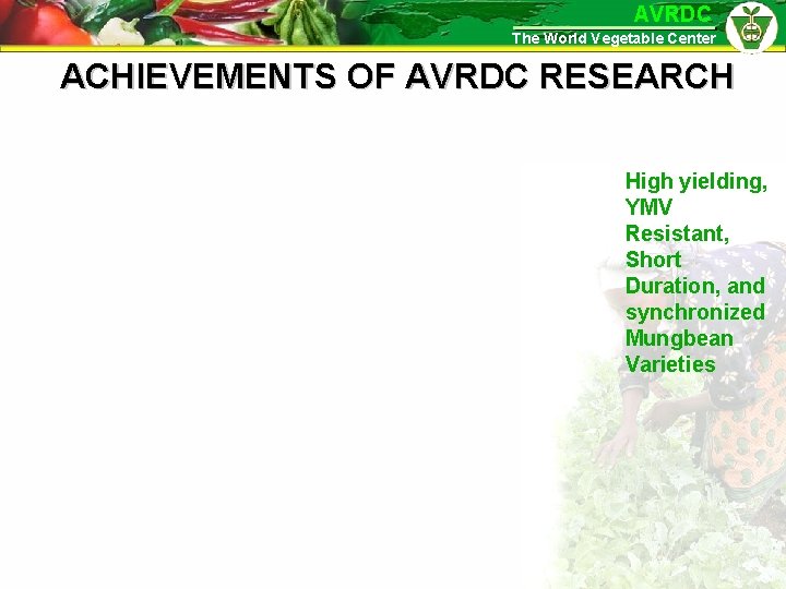 AVRDC The World Vegetable Center ACHIEVEMENTS OF AVRDC RESEARCH High yielding, YMV Resistant, Short