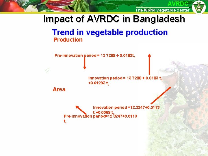 AVRDC The World Vegetable Center Impact of AVRDC in Bangladesh Trend in vegetable production