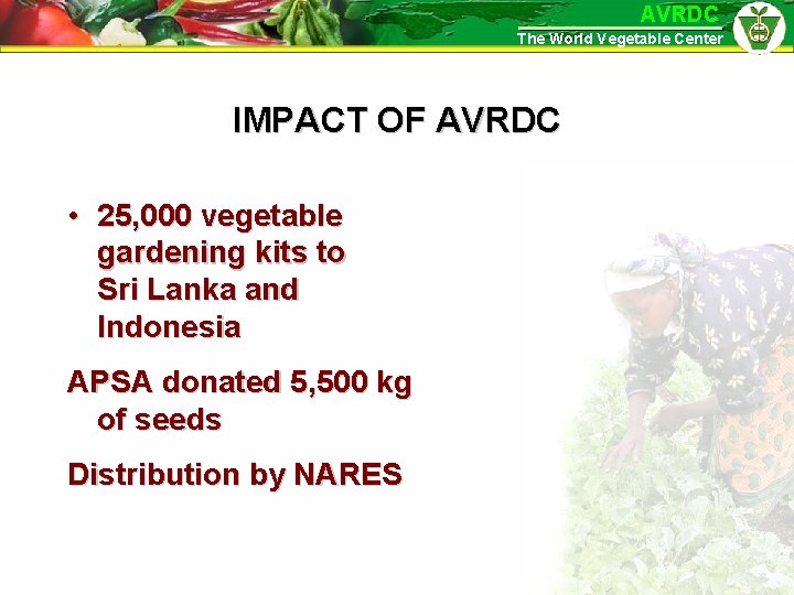 AVRDC The World Vegetable Center IMPACT OF AVRDC • 25, 000 vegetable gardening kits