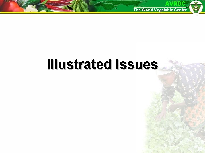 AVRDC The World Vegetable Center Illustrated Issues 