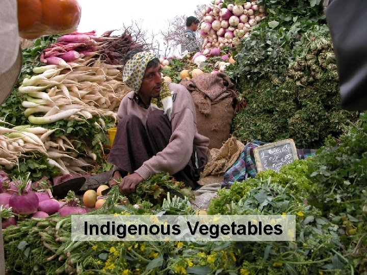 AVRDC The World Vegetable Center Indigenous Vegetables 