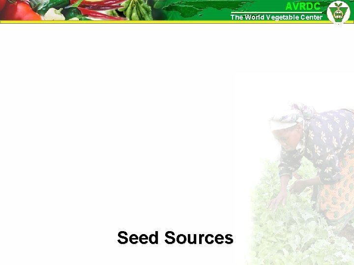 AVRDC The World Vegetable Center Seed Sources 