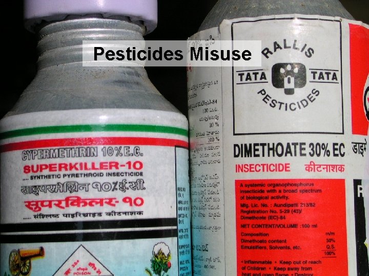 AVRDC The World Vegetable Center Pesticides Misuse 