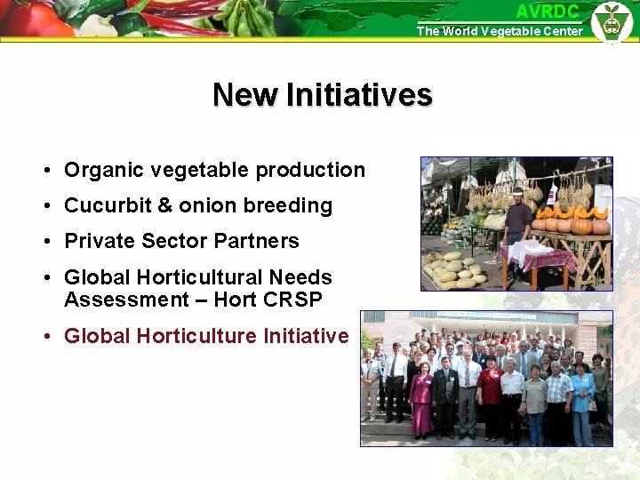 AVRDC The World Vegetable Center New Initiatives • Organic vegetable production • Cucurbit &