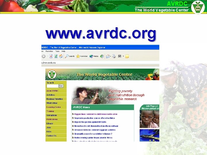 AVRDC The World Vegetable Center www. avrdc. org 